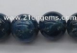 CAP404 15.5 inches 12mm round A grade natural apatite beads