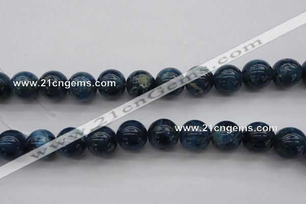 CAP404 15.5 inches 12mm round A grade natural apatite beads