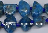 CAP532 15.5 inches 10*12mm - 16*22mm freeform apatite beads