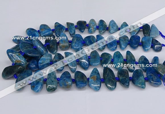 CAP533 15.5 inches 10*20mm - 15*35mm freeform apatite beads