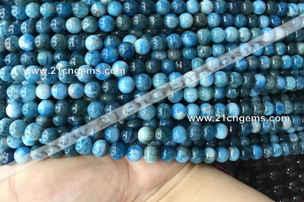 CAP577 15.5 inches 6mm round apatite beads wholesale