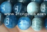 CAP579 15.5 inches 10mm round apatite beads wholesale