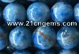 CAP585 15.5 inches 10mm round apatite beads wholesale