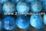 CAP590 15.5 inches 10mm round apatite beads wholesale