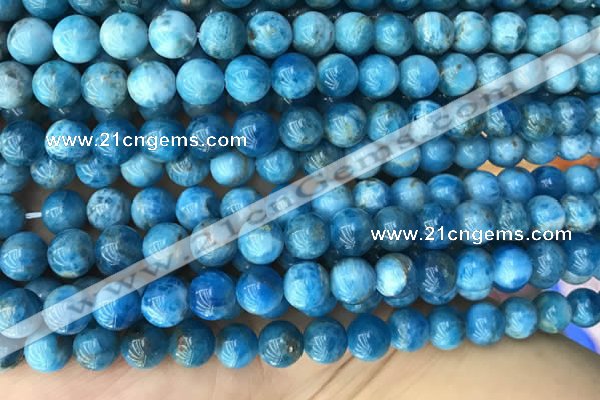 CAP590 15.5 inches 10mm round apatite beads wholesale