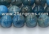 CAP630 15.5 inches 6mm round apatite beads wholesale