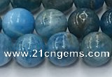 CAP631 15.5 inches 8mm round apatite beads wholesale