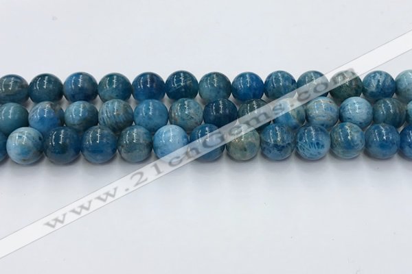 CAP632 15.5 inches 10mm round apatite beads wholesale