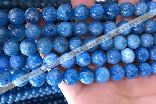 CAP639 15.5 inches 10mm round natural apatite gemstone beads
