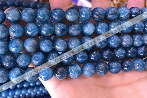 CAP640 15.5 inches 10mm round natural apatite gemstone beads