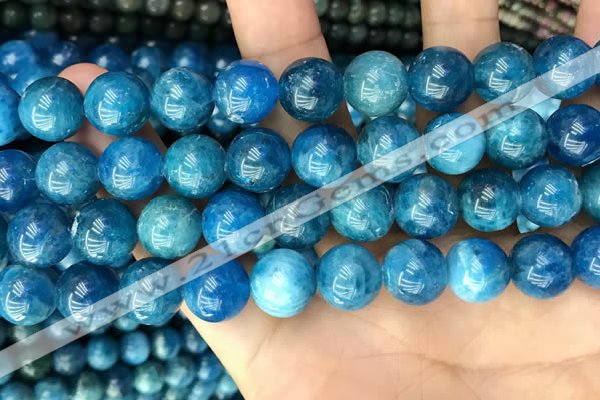 CAP654 15.5 inches 12mm round natural apatite beads wholesale