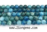 CAP757 15 inches 10mm round apatite gemstone beads wholesale