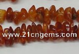 CAR115 16 inches 3*6mm - 4*8mm natural amber chips beads