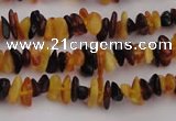 CAR204 24 inches 3*8mm natural amber chips beads wholesale