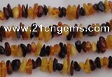 CAR205 32 inches 3*5mm natural amber chips beads wholesale