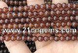 CAR231 15.5 inches 5mm - 5.5mm round natural amber beads wholesale