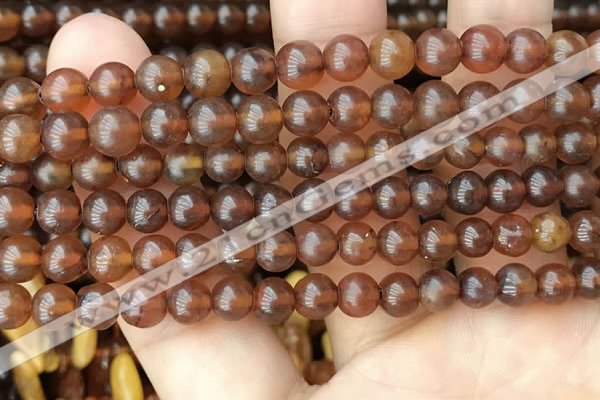 CAR236 15.5 inches 5mm - 5.5mm round natural amber beads wholesale