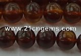 CAR528 15.5 inches 8mm - 9mm round natural amber beads wholesale