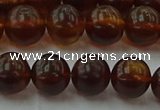 CAR528 15.5 inches 8mm - 9mm round natural amber beads wholesale