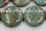 CAT07 15.5 inches 25mm flat round natural aqua terra jasper beads