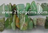 CAU408 15.5 inches 5*10mm - 10*15mm Australia chrysoprase chips beads