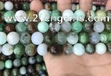 CAU438 15.5 inches 12mm round Australia chrysoprase beads wholesale