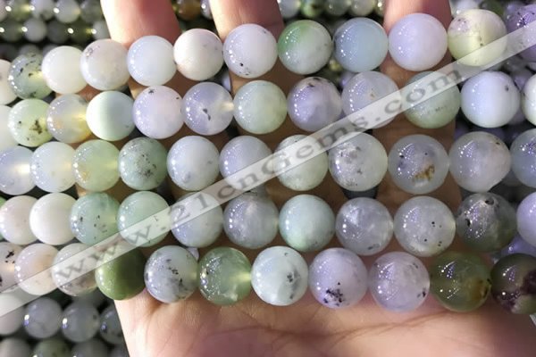 CAU463 15.5 inches 11mm - 12mm round Australia chrysoprase beads