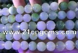 CAU475 15.5 inches 13mm round Australia chrysoprase beads