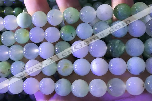 CAU475 15.5 inches 13mm round Australia chrysoprase beads