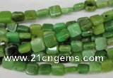 CAU50 15.5 inches 6*6mm square Australia chrysoprase beads wholesale