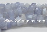 CBC06 15.5 inches 12mm blue chalcedony chips beads wholesale