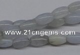 CBC23 15.5 inches 4*7mm rice blue chalcedony beads wholesale