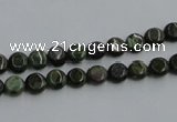 CBG11 15.5 inches 6mm flat round bronze green gemstone beads