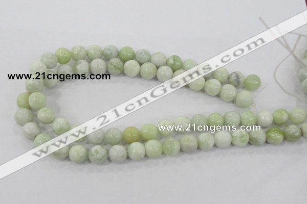 CBJ205 15.5 inches 12mm round butter jade beads wholesale