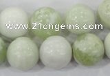 CBJ207 15.5 inches 16mm round butter jade beads wholesale