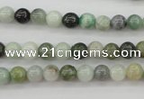 CBJ608 15.5 inches 6mm round jade beads wholesale