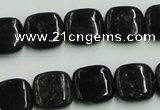 CBT06 16 inches 14*14mm square natural biotite beads wholesale