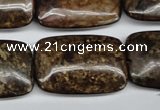 CBZ78 15.5 inches 20*30mm rectangle bronzite gemstone beads