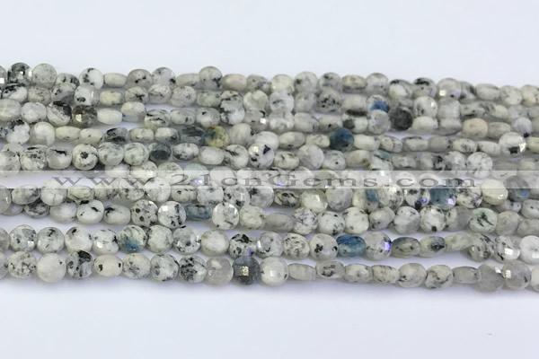 CCB1133 15 inches 4mm faceted coin K2 jasper beads