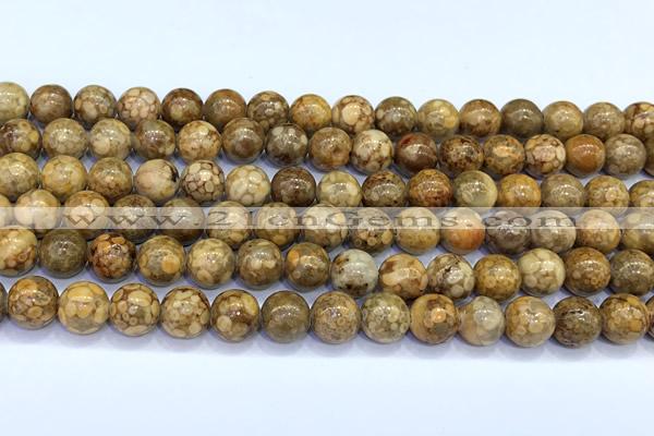 CCB1486 15 inches 10mm round gemstone beads