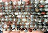 CCB1783 15 inches 6mm faceted coin blood jasper beads