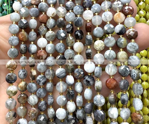 CCB1810 15 inches 6mm faceted coin eagle eye jasper beads