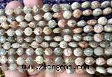 CCB1815 15 inches 6mm faceted coin Chinese unakite beads