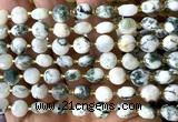 CCB1933 15 inches 8mm faceted coin tree agate beads wholesale