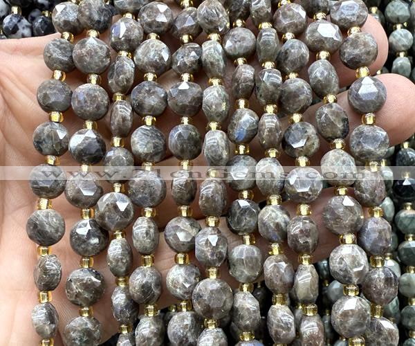 CCB2030 15 inches 8mm faceted coin rainbow labradorite beads