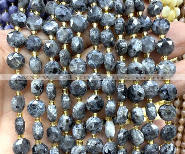 CCB2031 15 inches 8mm faceted coin black labradorite beads