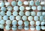 CCB2181 15 inches 10mm faceted coin amazonite beads wholesale
