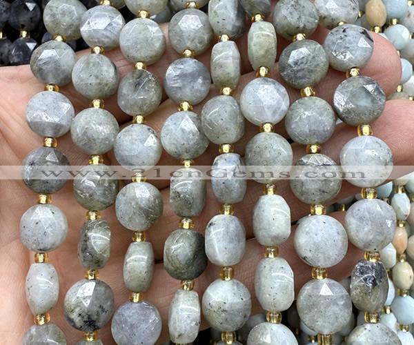 CCB2189 15 inches 10mm faceted coin labradorite beads wholesale