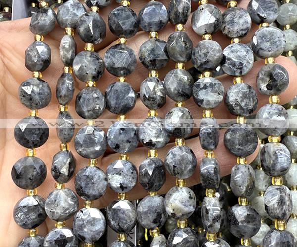 CCB2191 15 inches 10mm faceted coin black labradorite beads