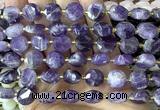CCB2302 15 inches 12mm faceted coin dogtooth amethyst beads